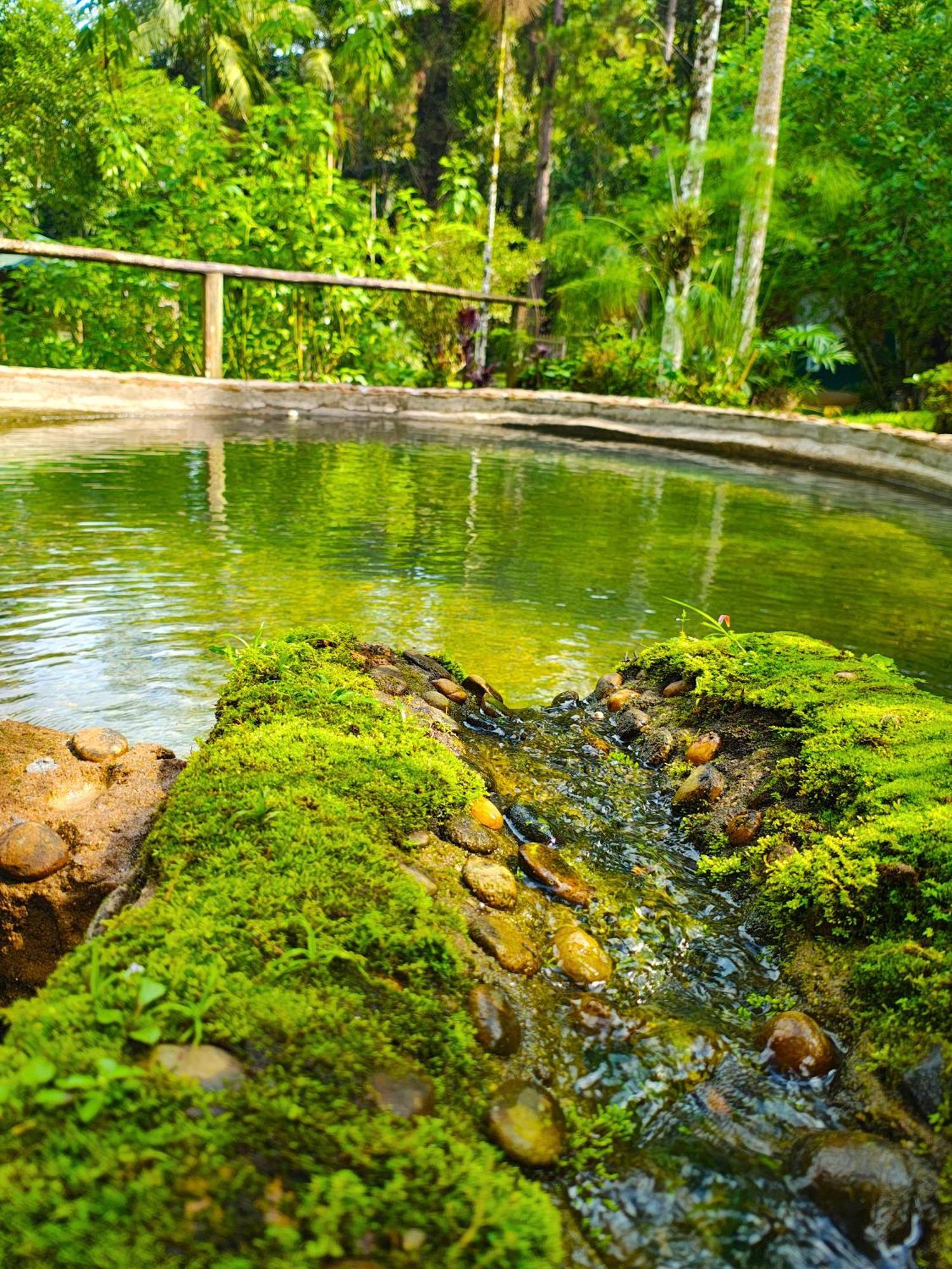 Pousada Romantica Serra Da Mata Penedo  Eksteriør bilde